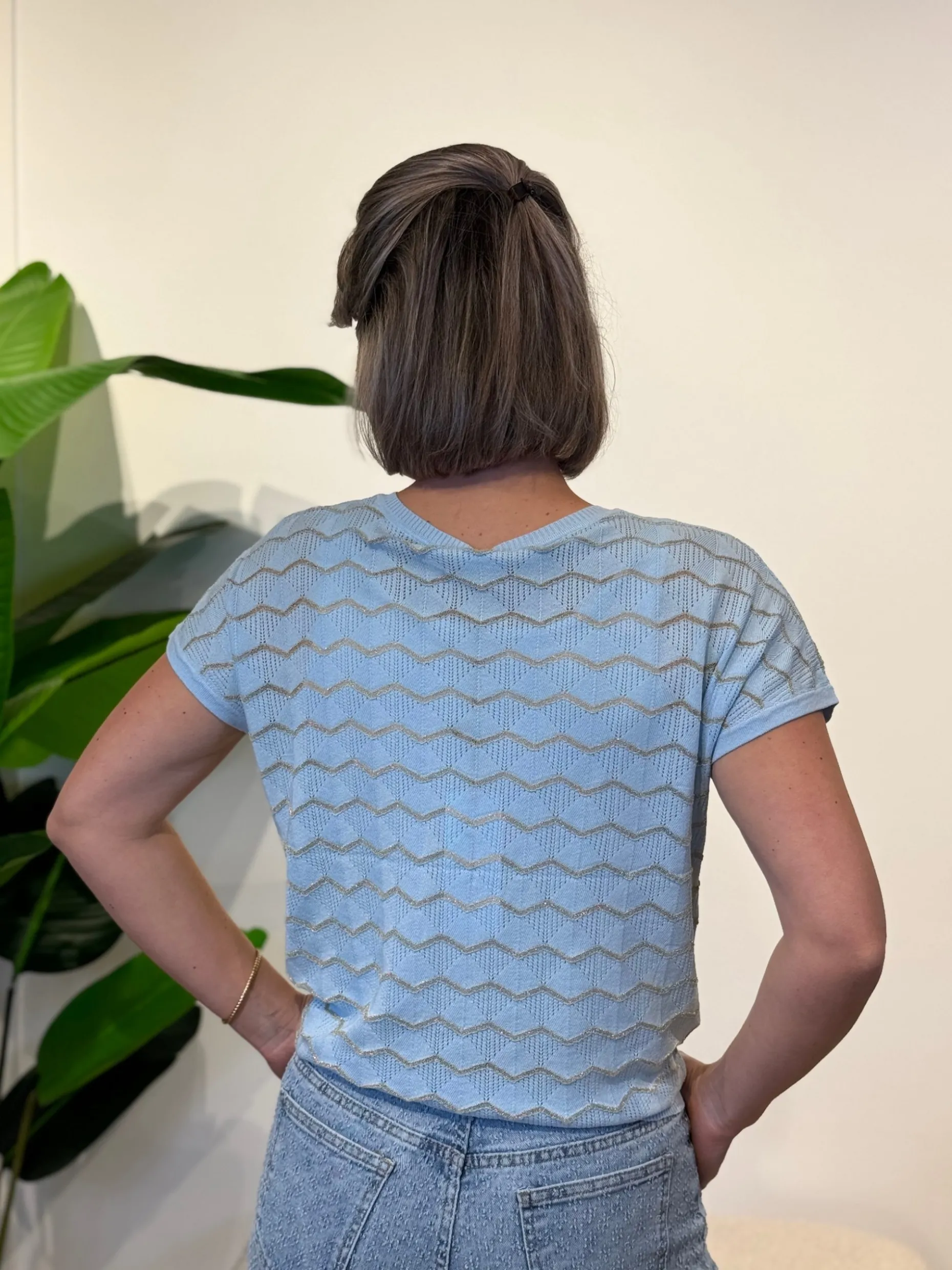 Shirtje Zigzag blauw
