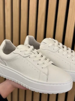 Sneakers white Anemone